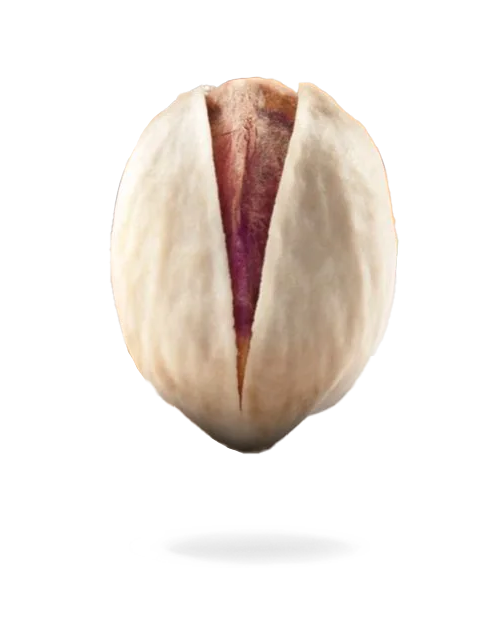 Round Fandoghi Pistachio Perfect for Export